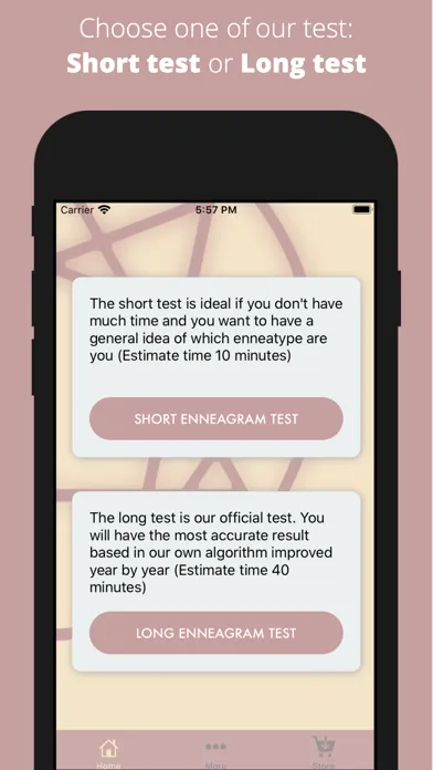 Enneagram Test: Self-Analysis Screenshots