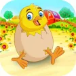 Chick Runner