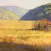 Mitchell Albala’s Landscape Painting