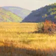 Mitchell Albala’s Landscape Painting Mitchell Albala’s Landscape Painting