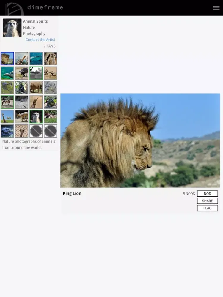 ภาพหน้าจอของ DimeFrame.com iPad 