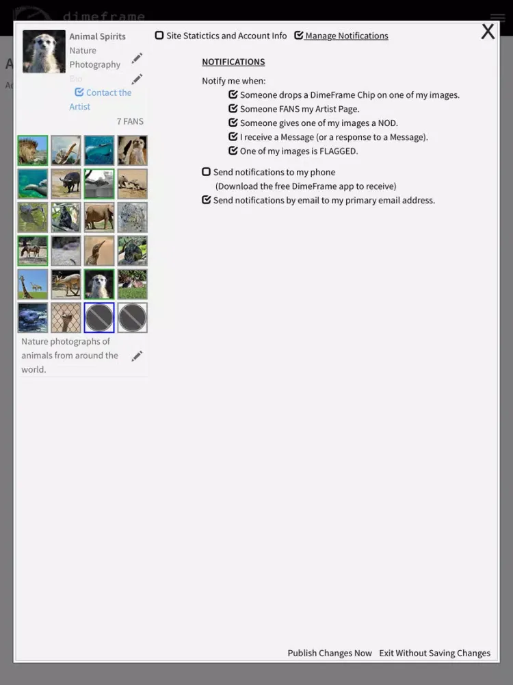 ภาพหน้าจอของ DimeFrame.com iPad 