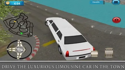 تصاویر Real Limo Driving Traffic