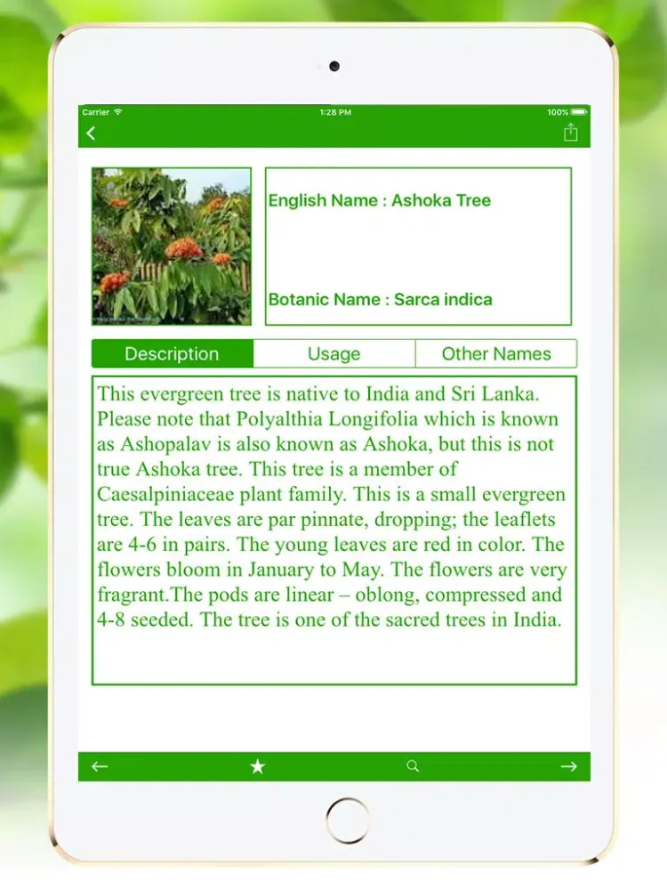 Natural Ayurvedic Home Remedies - Natural & Ayurvedic Herb iPad  स्क्रीनशॉट