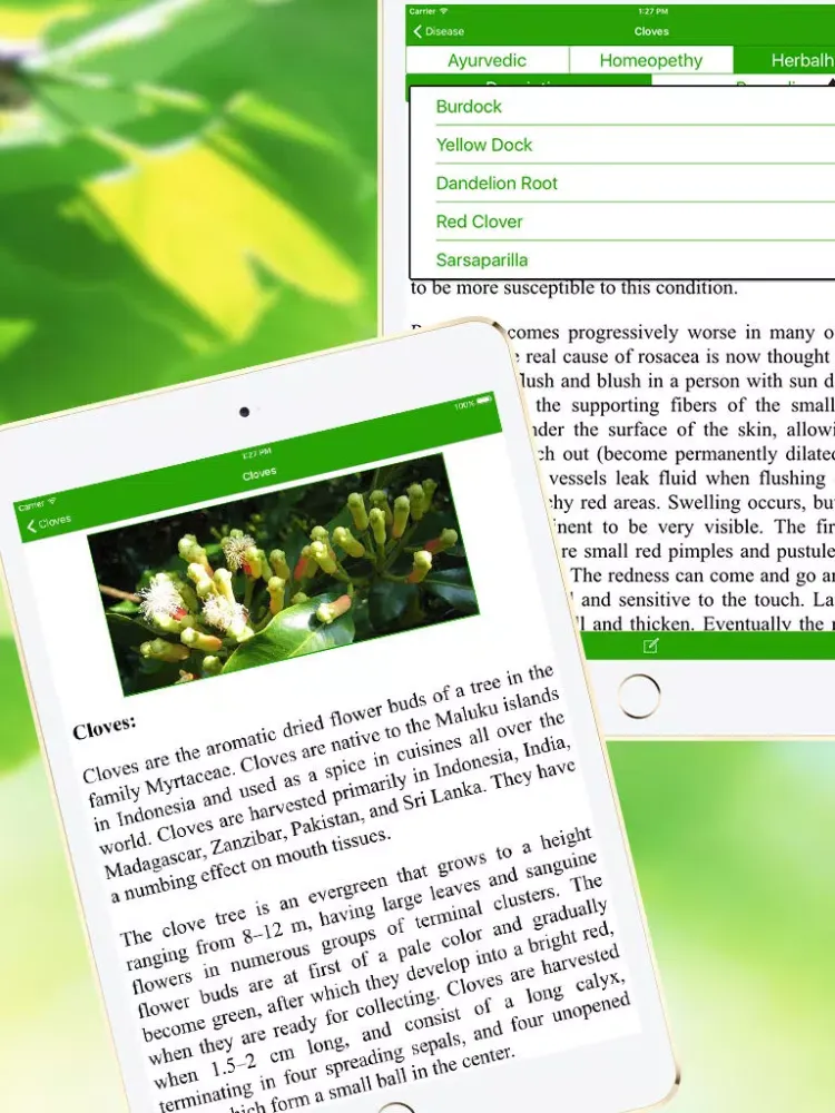 Natural Ayurvedic Home Remedies - Natural & Ayurvedic Herb iPad  स्क्रीनशॉट