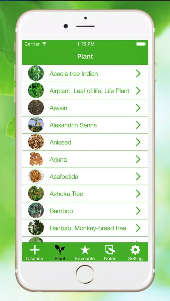Natural Ayurvedic Home Remedies - Natural & Ayurvedic Herb स्क्रीनशॉट