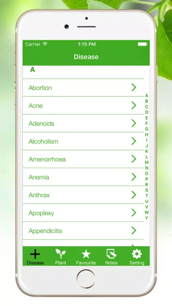 Natural Ayurvedic Home Remedies - Natural & Ayurvedic Herb स्क्रीनशॉट