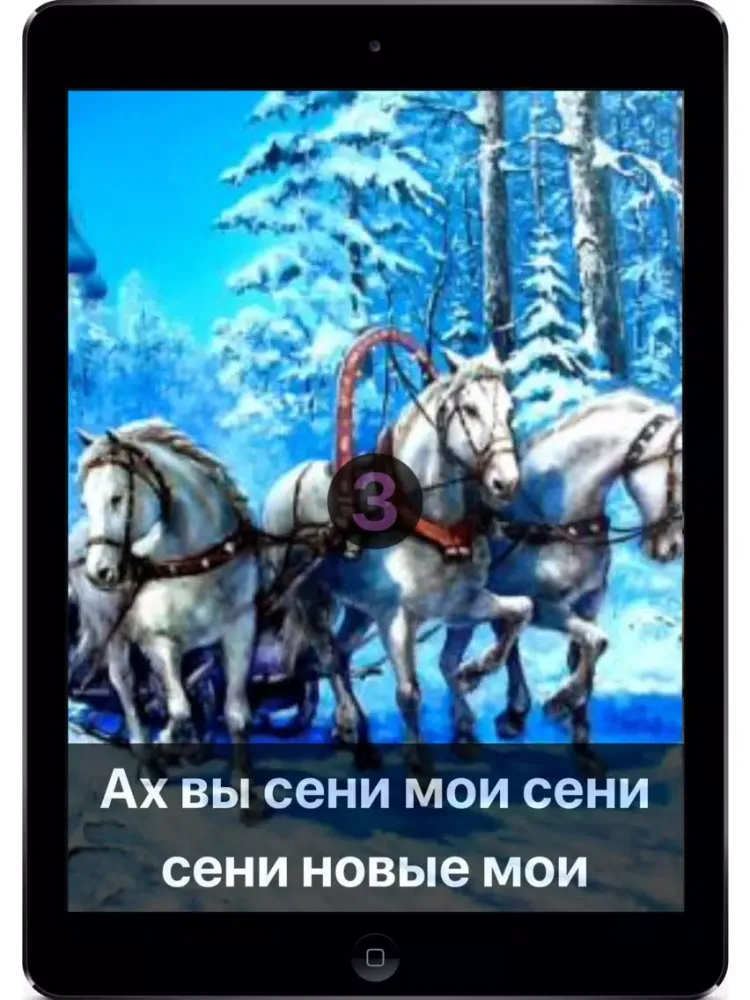 Караоке по-русски iPad  Screenshots