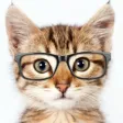 Catify - Cat Effects Camera Catify - Cat Effects Camera