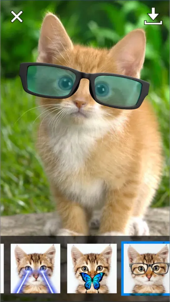 Tangkapan layar Catify - Cat Effects Camera
