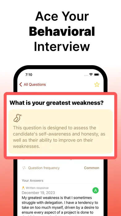 Tangkapan layar Echo Behavior Interview Prep