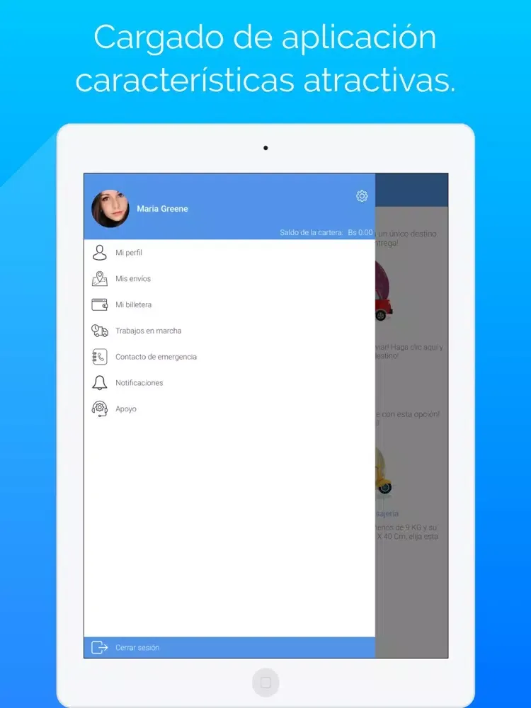 Скриншоты envíos iPad 