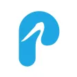Pentair Pelican