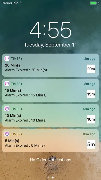Скриншоты Widget Timer - 8 Concurrent