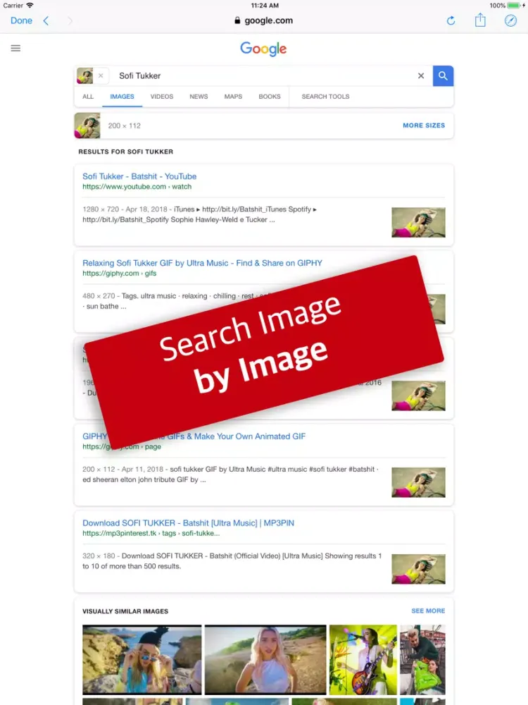 Tangkapan skrin Reverse Image Search by Image iPad 