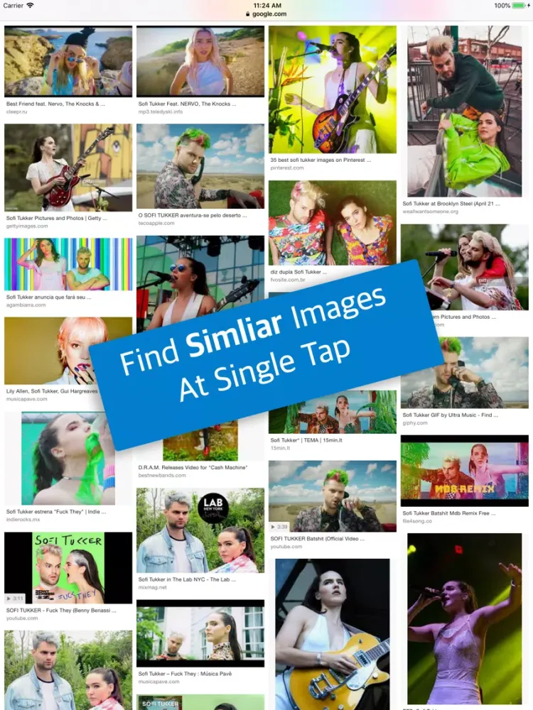 Tangkapan skrin Reverse Image Search by Image iPad 