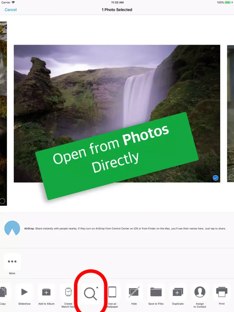 Tangkapan skrin Reverse Image Search by Image iPad 