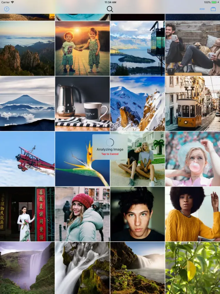 Tangkapan skrin Reverse Image Search by Image iPad 
