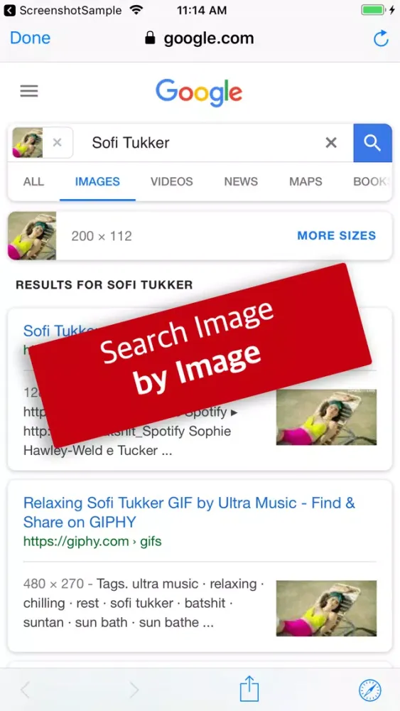 Tangkapan skrin Reverse Image Search by Image