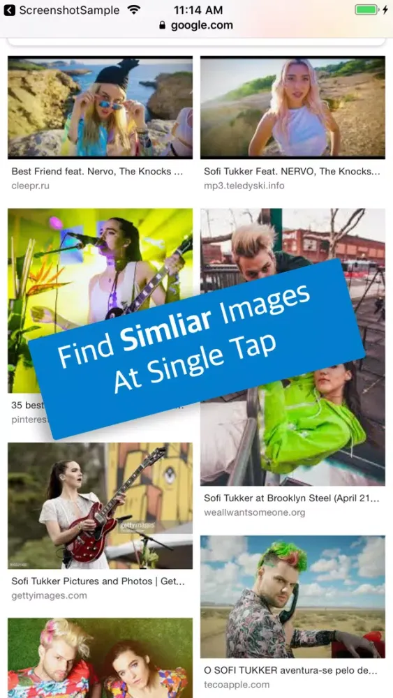 Tangkapan skrin Reverse Image Search by Image