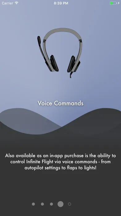 صور In-Flight Assistant
