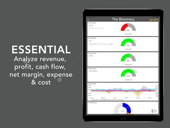 EpicLedger Financial Dashboard iPad 應用截圖