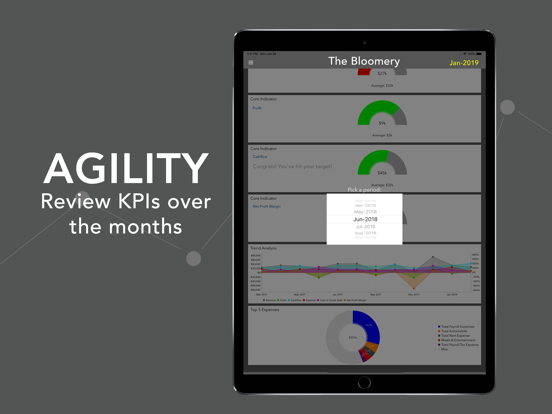 EpicLedger Financial Dashboard iPad 應用截圖