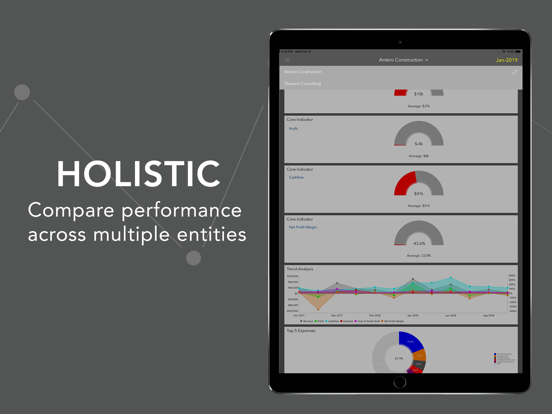 EpicLedger Financial Dashboard iPad 應用截圖