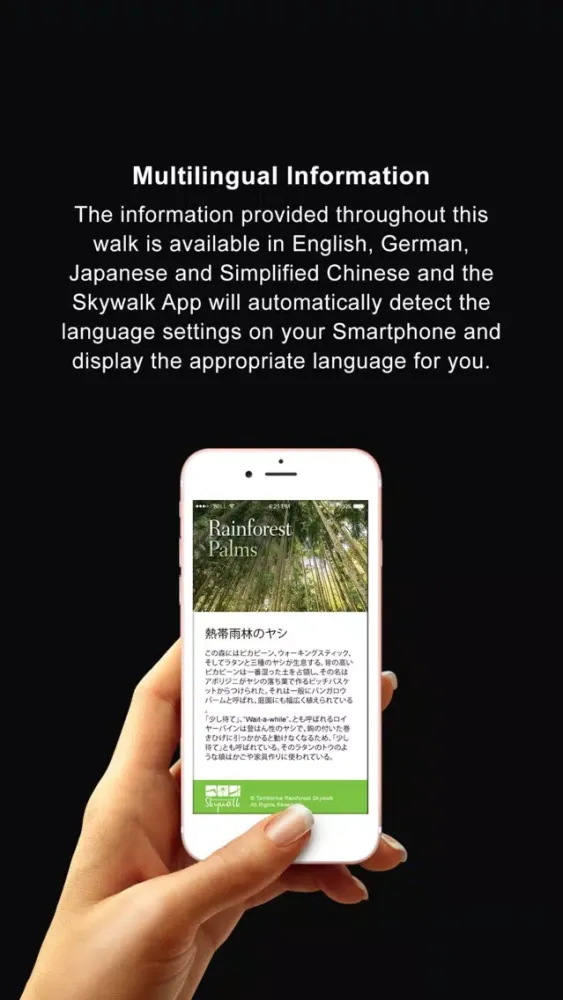 Screenshot di Skywalk