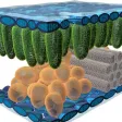 Epidermal Cell 3D Epidermal Cell 3D