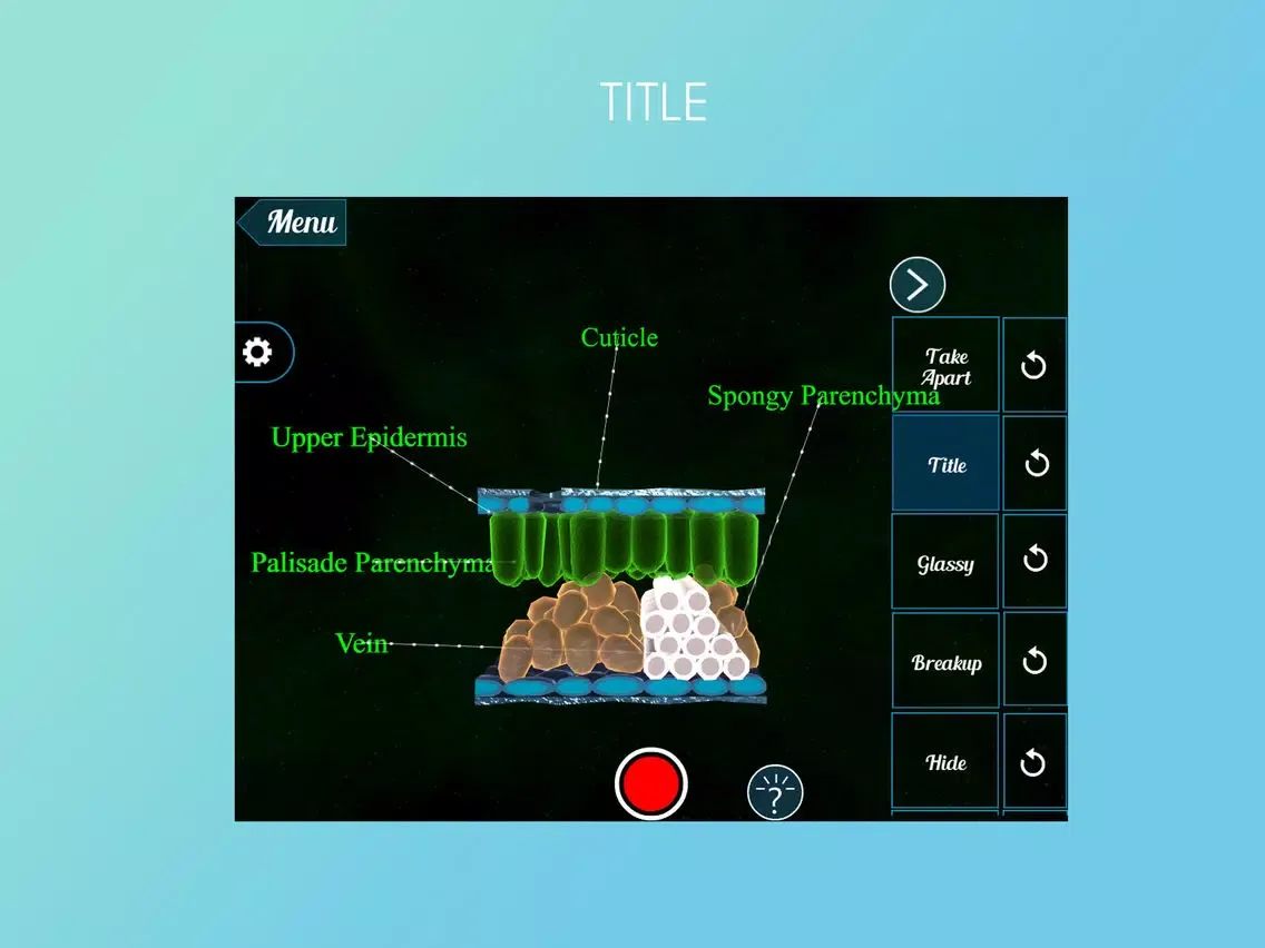 تصاویر Epidermal Cell 3D iPad 