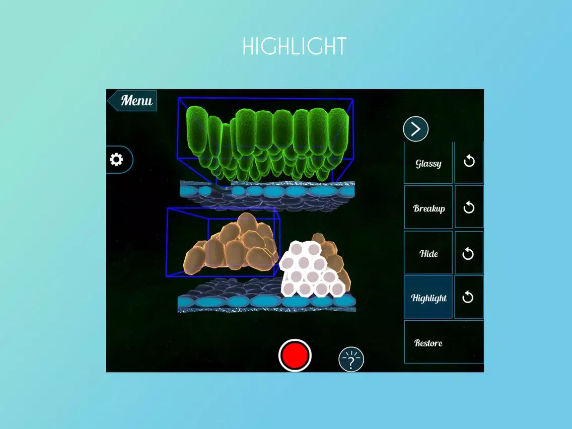 تصاویر Epidermal Cell 3D iPad 
