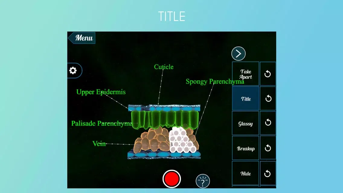 تصاویر Epidermal Cell 3D