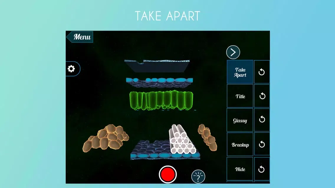تصاویر Epidermal Cell 3D