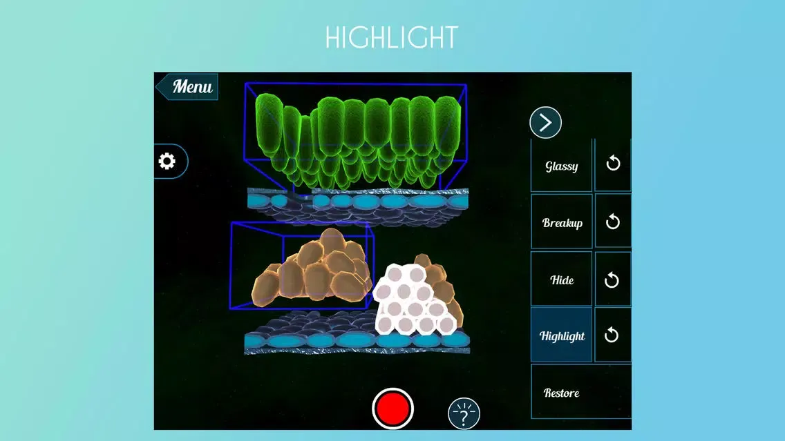 تصاویر Epidermal Cell 3D