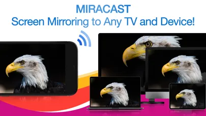 Скриншоты Miracast + Screen Mirror