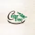 Cedar Tree UAE