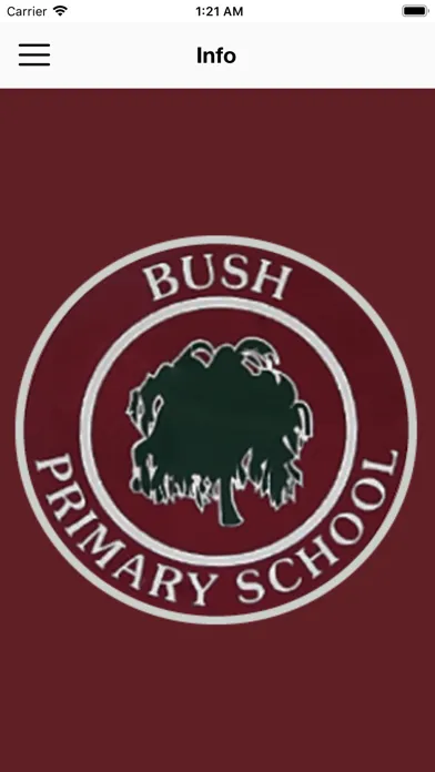 Скриншоты Bush PS
