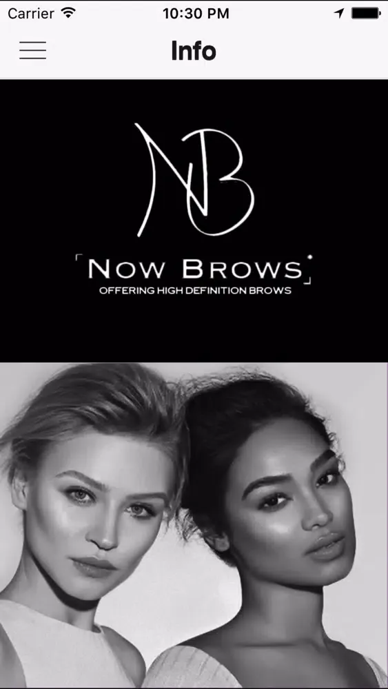 Now Brows应用截图