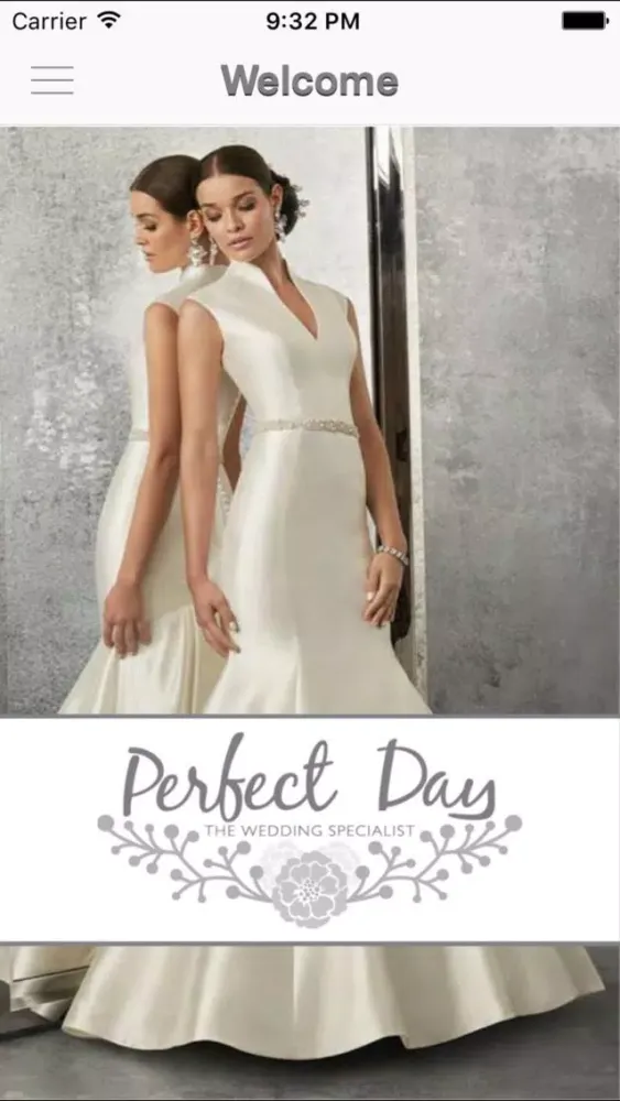 تصاویر Perfect Day