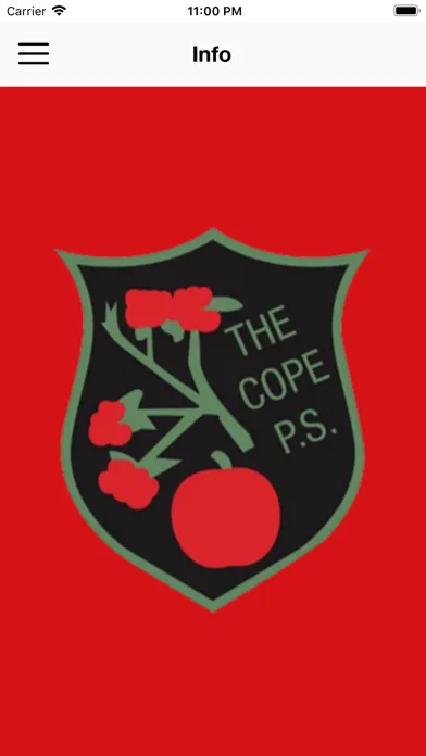 Captures d'écran de The Cope PS