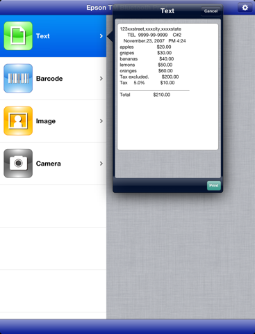 Captures d'écran de Epson TM Bluetooth Print iPad 