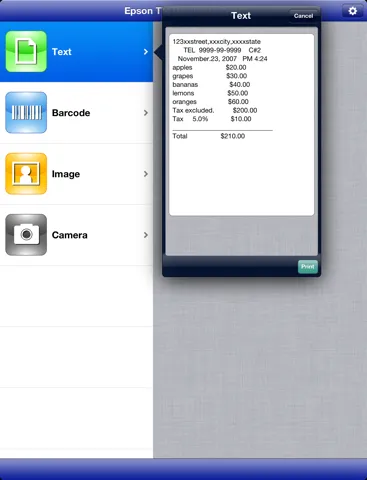 ภาพหน้าจอของ Epson TM Bluetooth Print iPad 