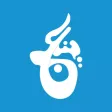 دليل ينبع الشامل دليل ينبع الشامل