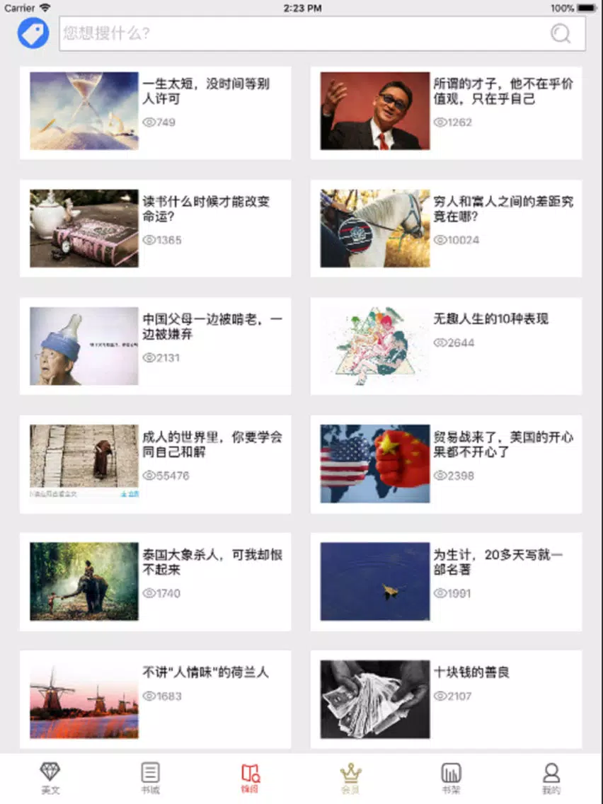 杂志《销售与市场·渠道版》 iPad  स्क्रीनशॉट