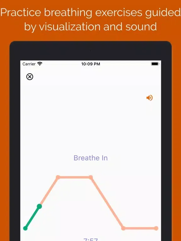 BreathSpace: Breath Exercises iPad  Screenshots