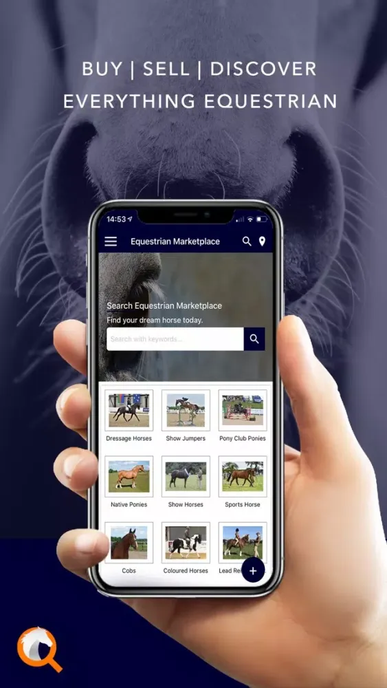 Capturas de tela do Equestrian Marketplace