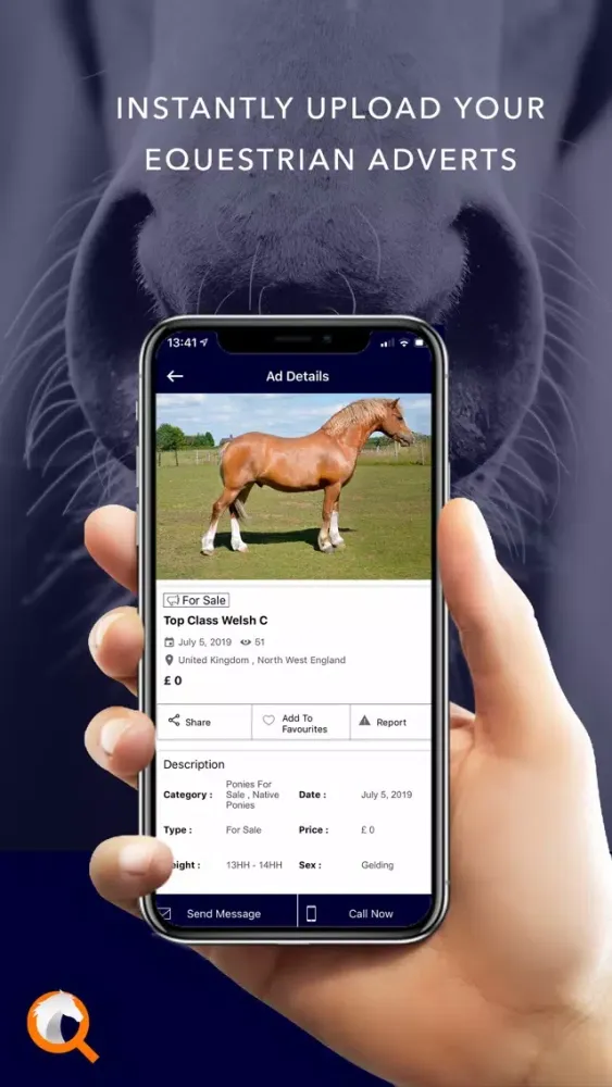 Capturas de tela do Equestrian Marketplace