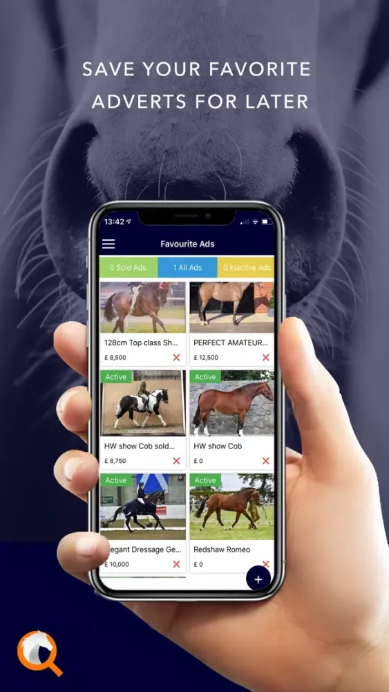 Capturas de tela do Equestrian Marketplace