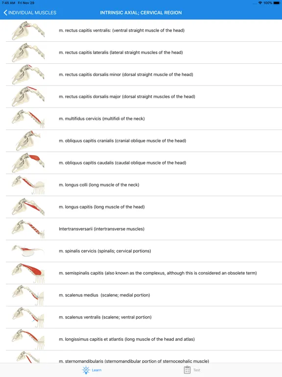 Capturas de pantalla de Equine Anatomy Learning Aid iPad 